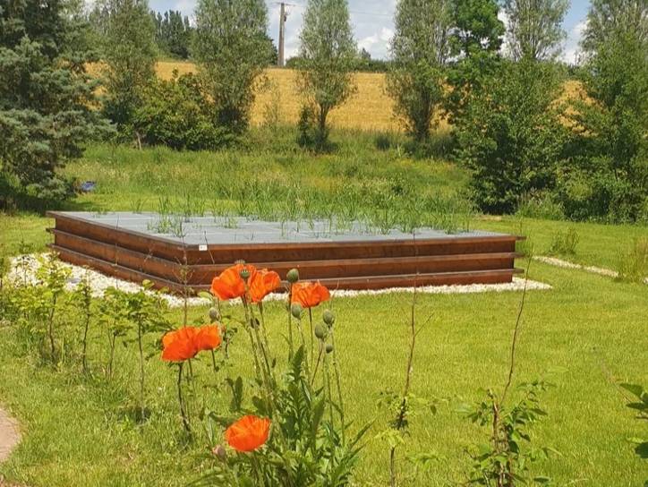 Vue bassin Phytoépuration