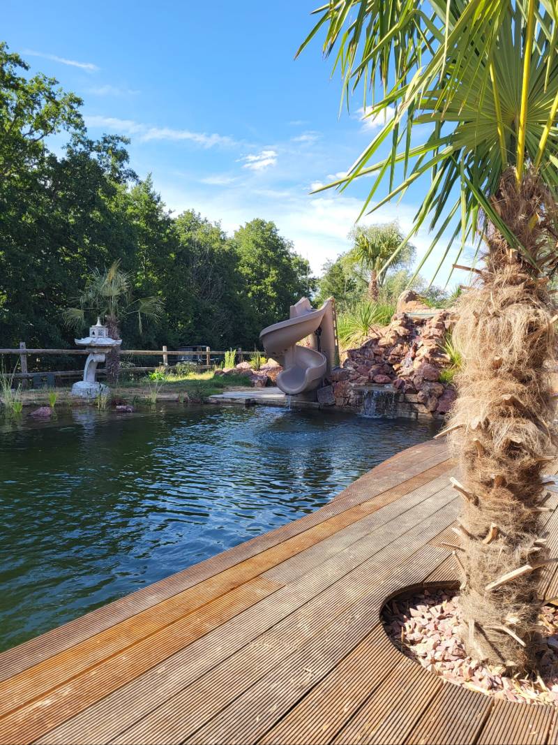Aménagement piscine extérieure avec fontaine